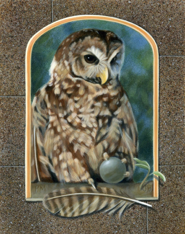 Stillness of Owl
